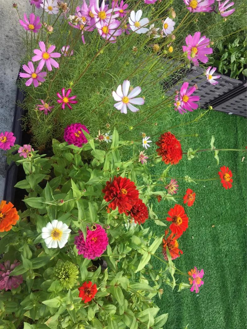 厦门曾厝垵民宿招聘前台,厦门曾厝垵民宿怎么样