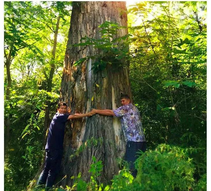 法国女人怎么养颜,法国女人的抗衰老