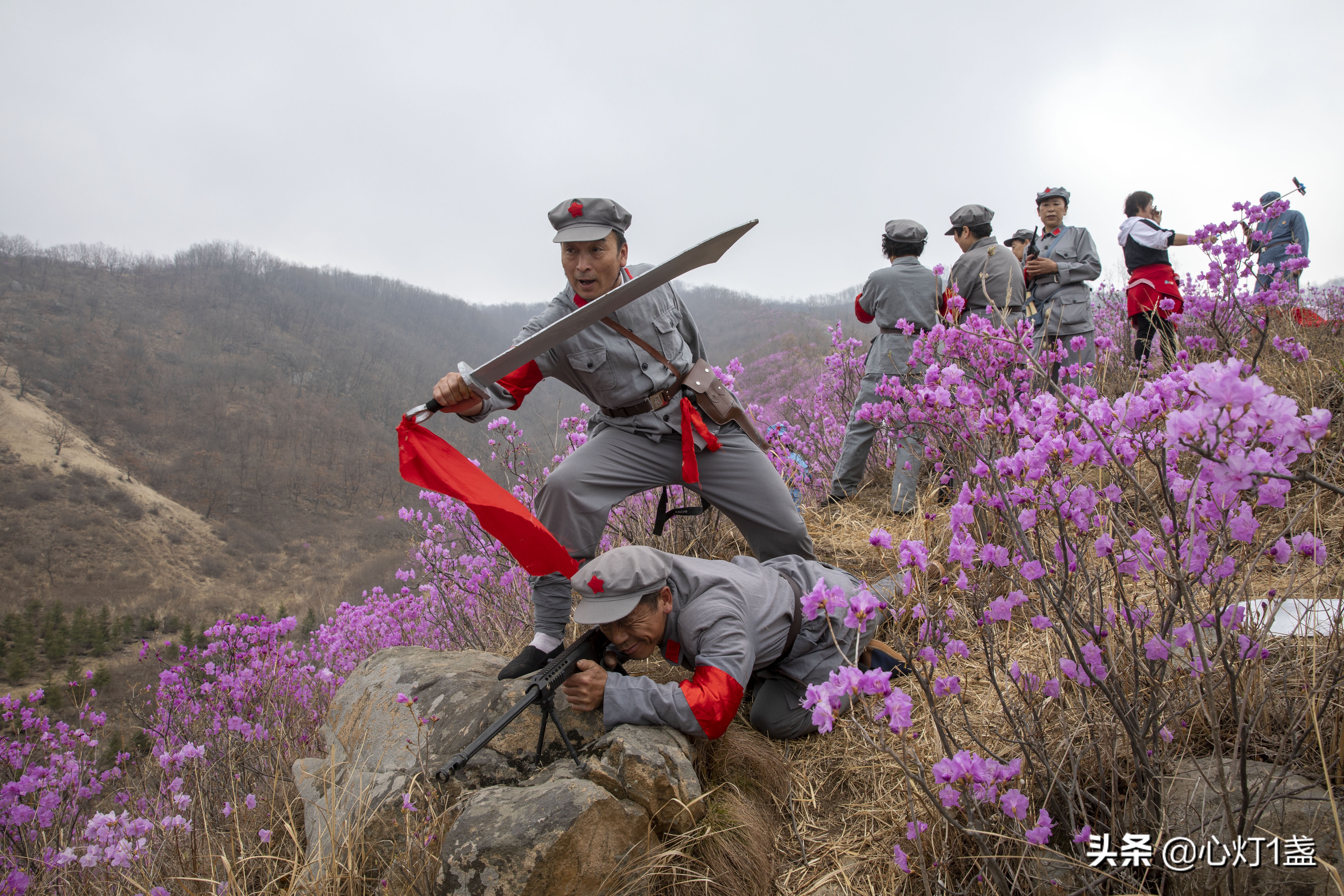 岫岩映山红什么季节开,岫岩映山红花期开多久