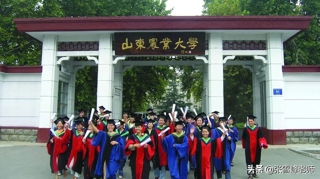 张雪峰教你报高考志愿:6所大学有实力又好考,低分捡漏上好专业