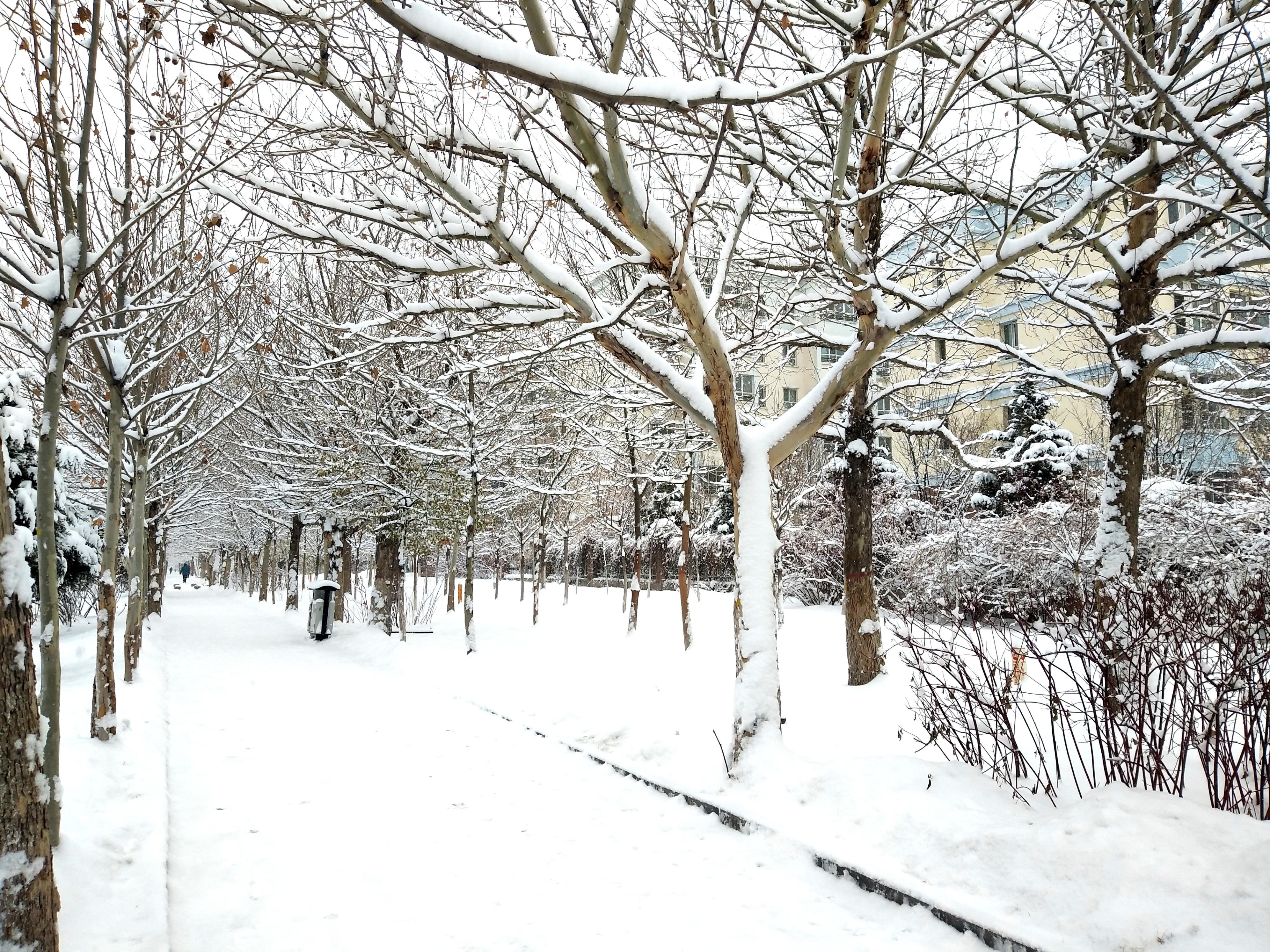 三天免税店代购,化妆品代购心得