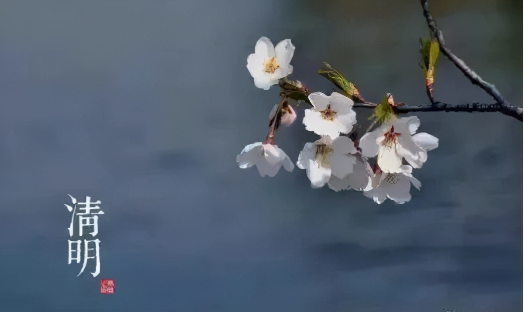 清明的雨散文名篇,清明的雨美文