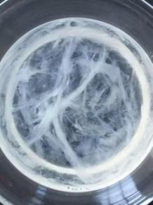 燕窝真假鉴别最简单方法,燕窝鉴别方法怎样辨别优质燕窝