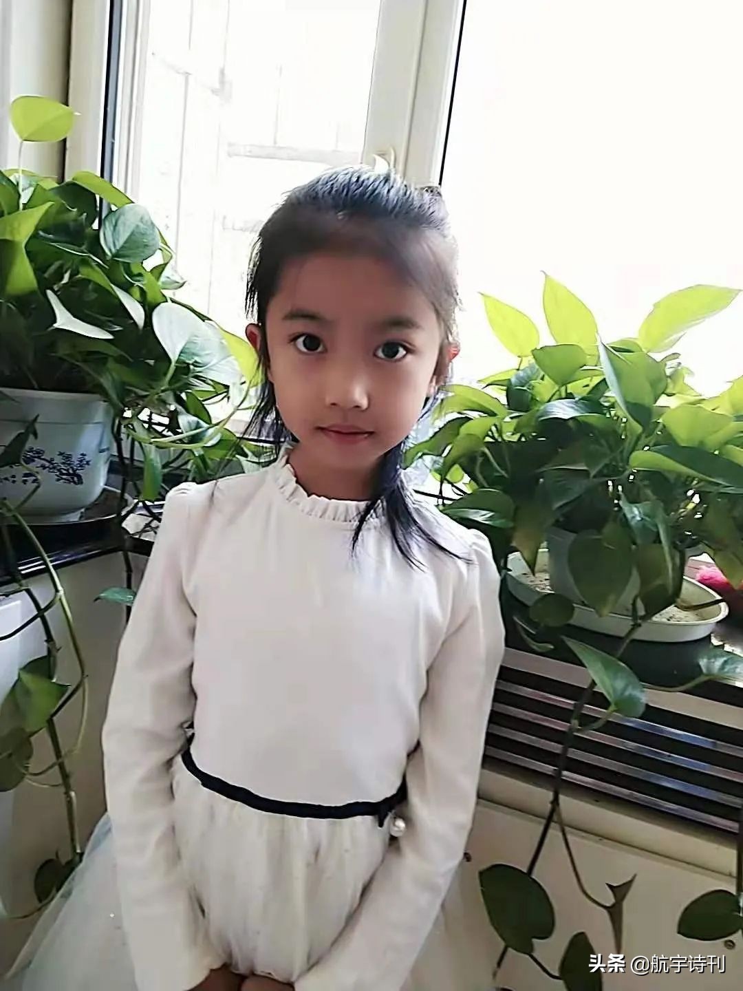 薄荷淡香原创诗歌（08060期）