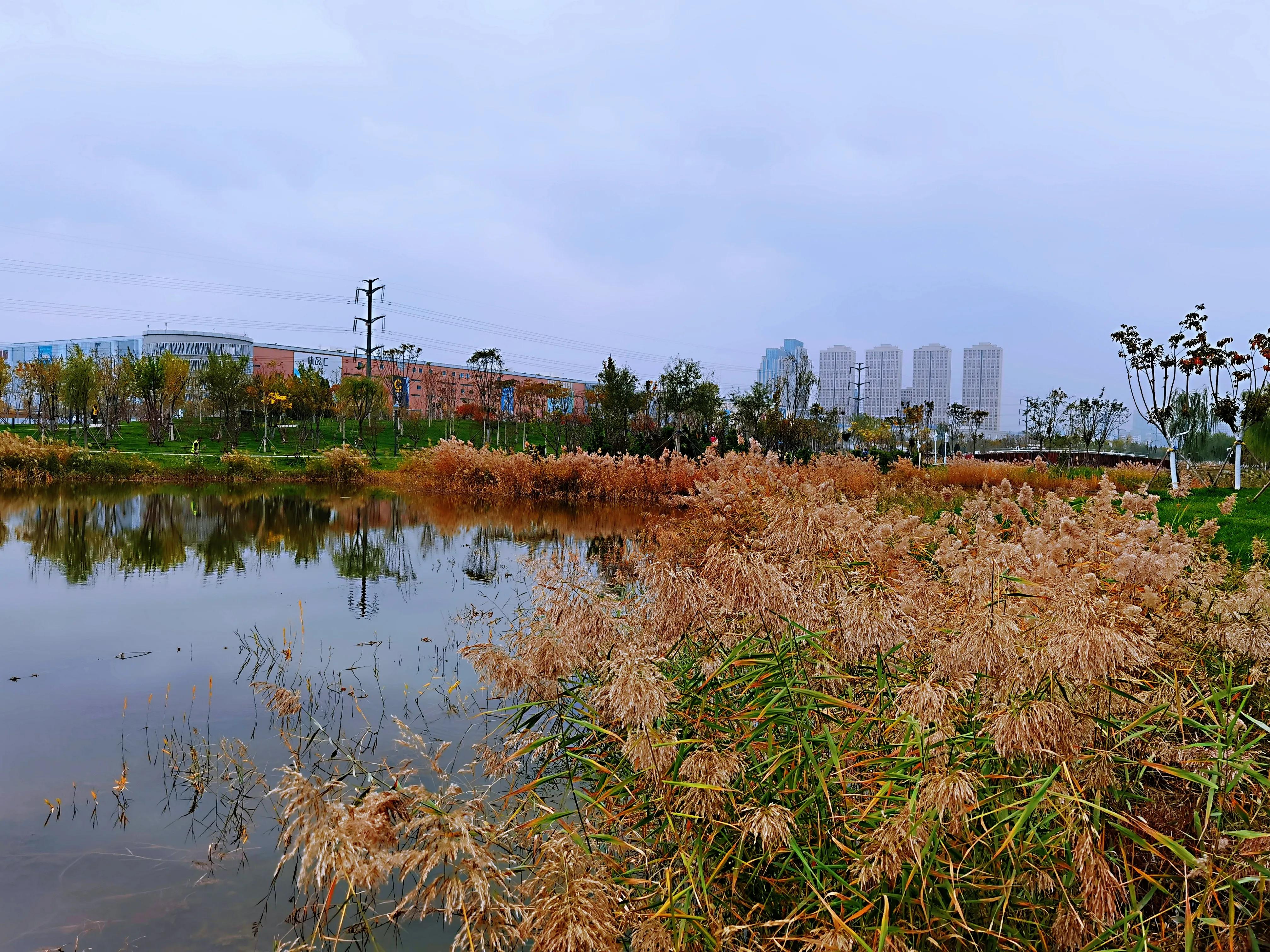 梅江公园风景区特点,信宜梅江公园