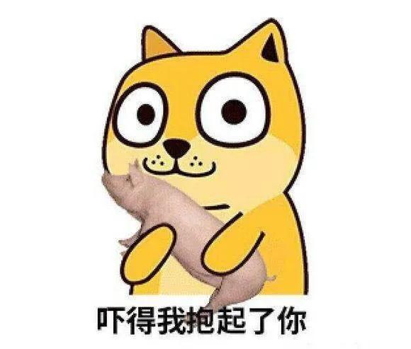 巴西一旅游地只接待新冠阳性游客,巴西旅游胜地新冠