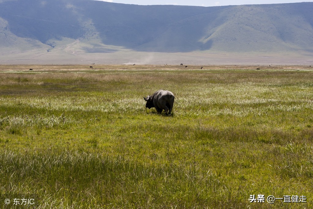 茅塞顿开详解视频,茅塞顿开完整句子