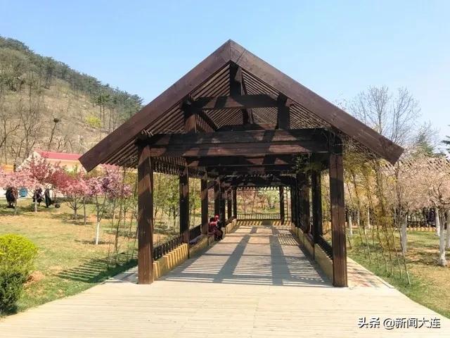 大连野餐必备,大连野餐推荐地点