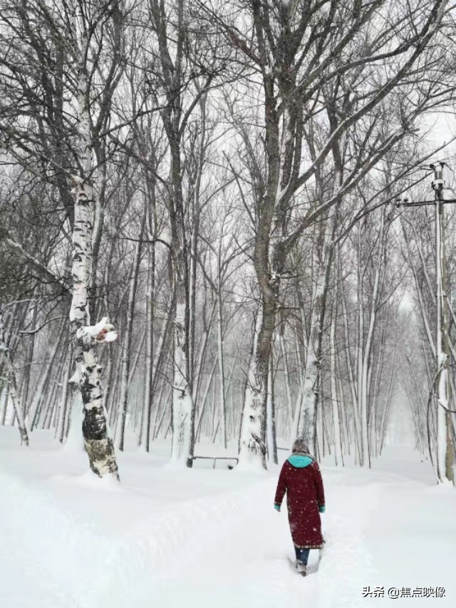 生如夏花绚烂死如落叶精美字体,生如夏花绚烂死如秋叶静美英语