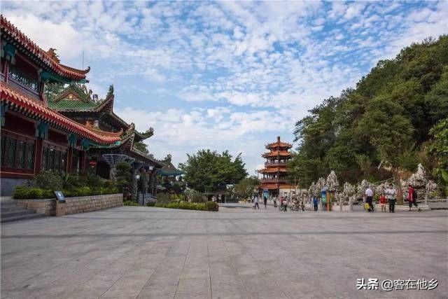 本港台播放过的动画,本港台曾经推出的纪录片