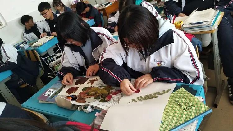 育才中学美丽校园,阜新市育才中学照片