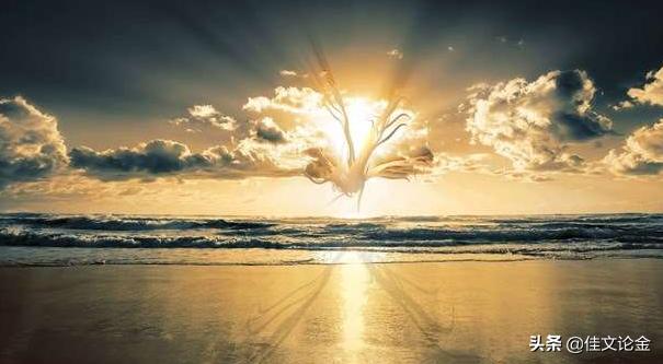 全球主要期货交易市场,全球期货交易所及交易品种