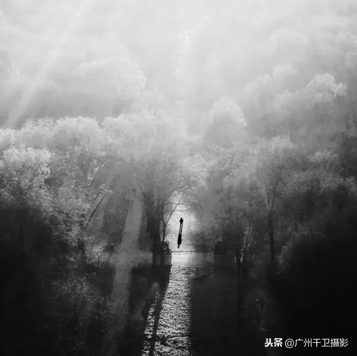 摄影必学的9种构图方法,摄影萌新必学12个构图技巧