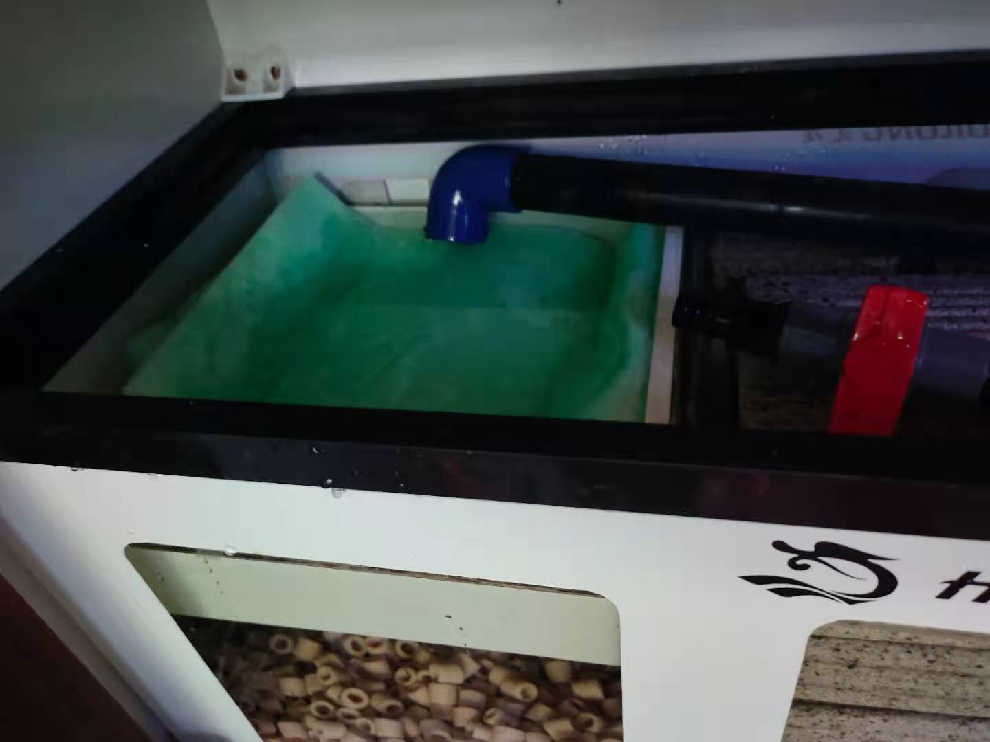 气温变低鱼缸水质浑浊了怎么办,为什么鱼缸水越来越浑