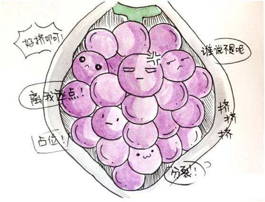 难道我的宝宝是葡萄?