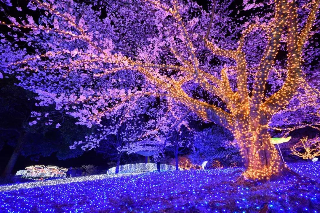 led蓝光灯对人有危害吗,led蓝光对人体的危害是什么