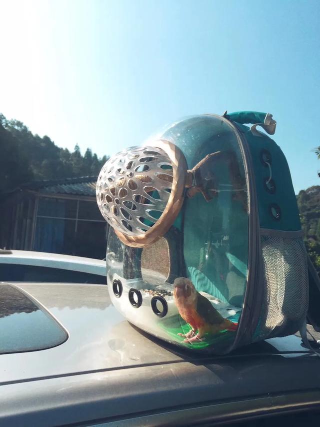 半个重庆人的感受,重庆游玩四面山到哪里玩