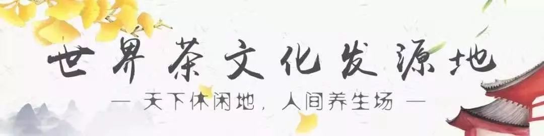 我们争分夺秒加班加点，就是为了奉上今春这第一波蒙顶皇茶！