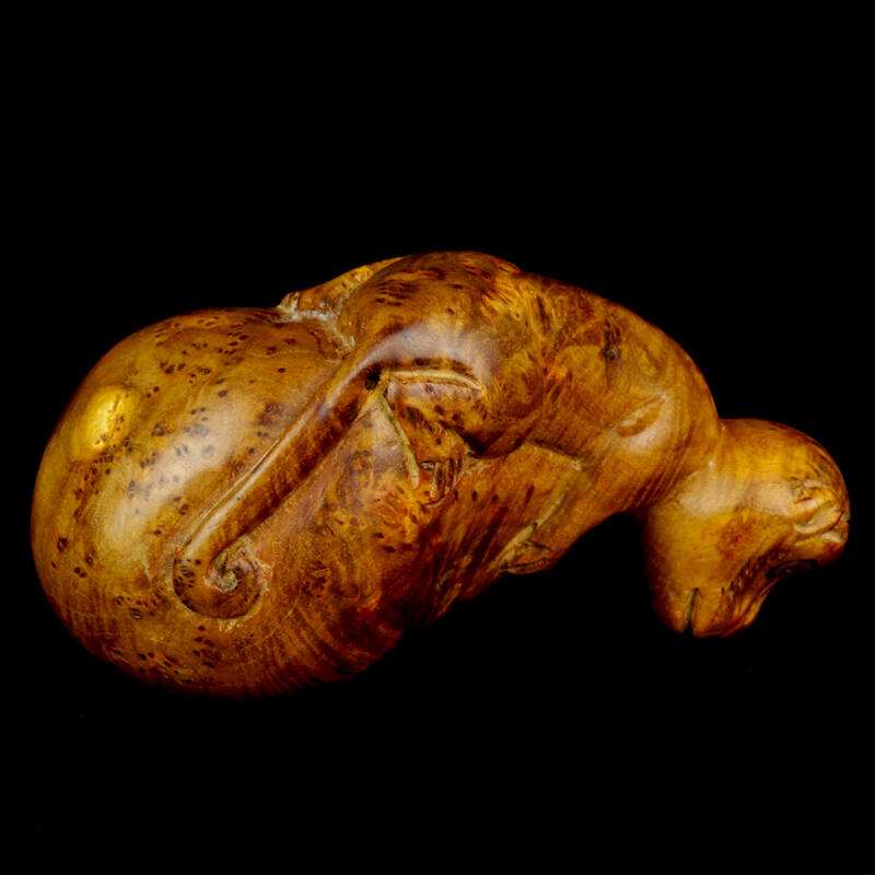 这种树木在石头缝内长大，一小块价值上千元，村民常常砍下当柴烧