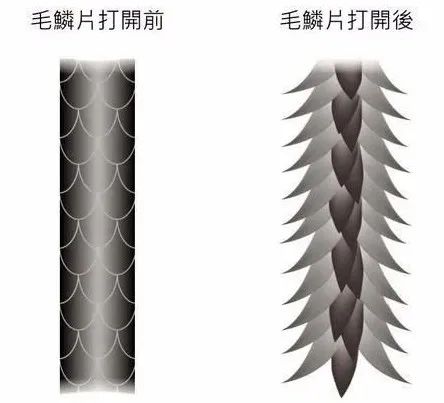 最全护发教程,修复烫染后受损发质头发护理