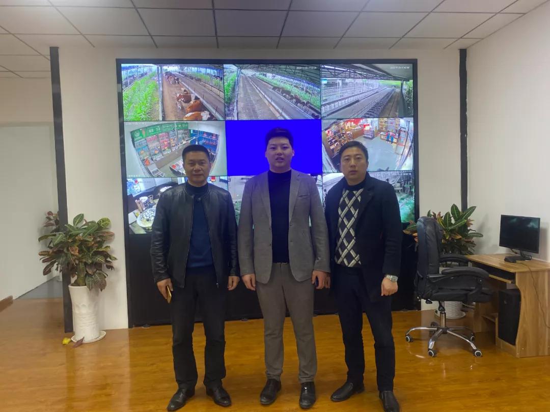 筠牛,筠牛集团最新动态