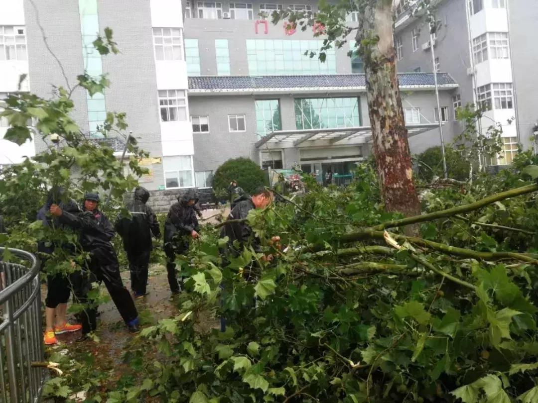 【抗击“利奇马”】风里雨里，总有天使守护你！