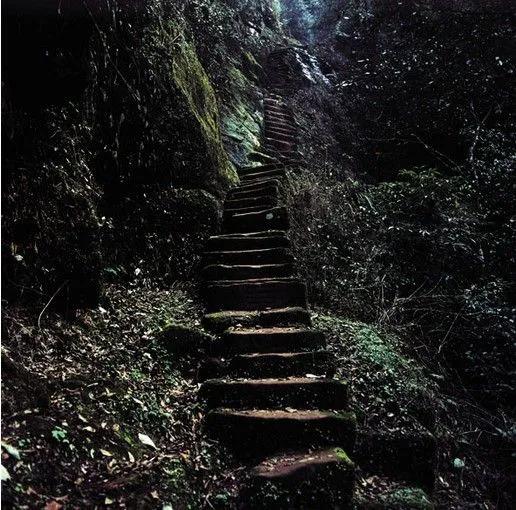 爱你只因喜欢你完整版,爱你只因对你情有独钟