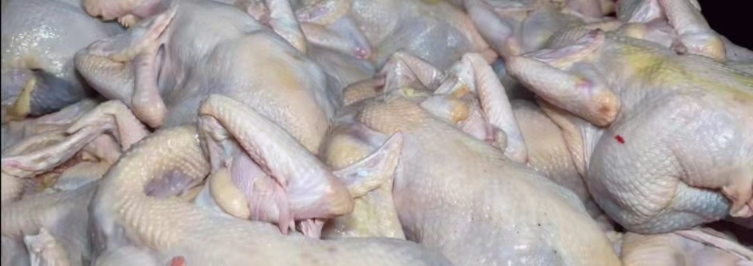 河南大哥专业*鸡做**20年，30元一只方圆几里独一家一天200只不够卖