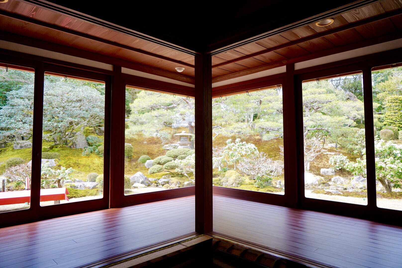 2019日本赏樱最新攻略|大津小众路线私家推荐