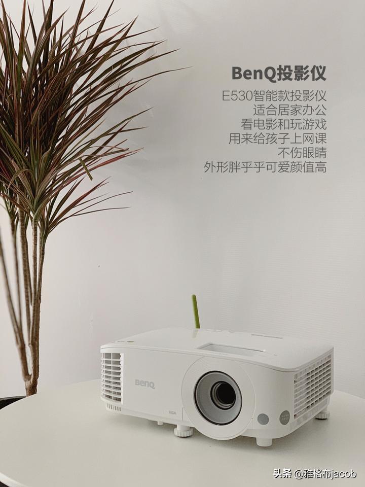 有哪些东西可以提升幸福感，分享一组让人幸福感满满的网红小电器