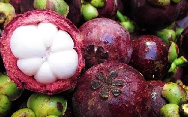 山竹怎么挑选果核少的,山竹怎么挑选5公6母