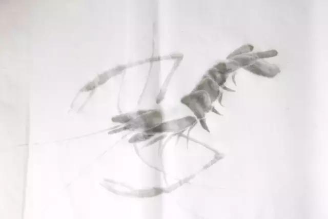 墨龙画法教程简单毛笔,河虾简笔画教程