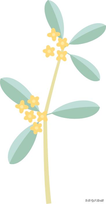 大连中秋节适合去哪里玩,中秋节大连游玩攻略