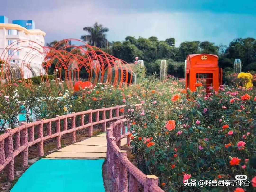 广州遛娃出游,广州遛娃3-4天攻略