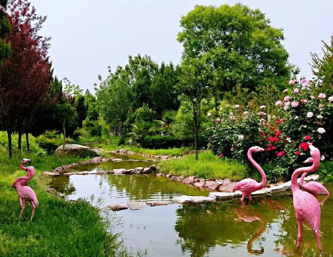 郭建华工匠精神,郭建华殡葬