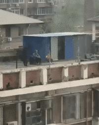 搞笑动图gif图片哪里下载,搞笑动图gif狗