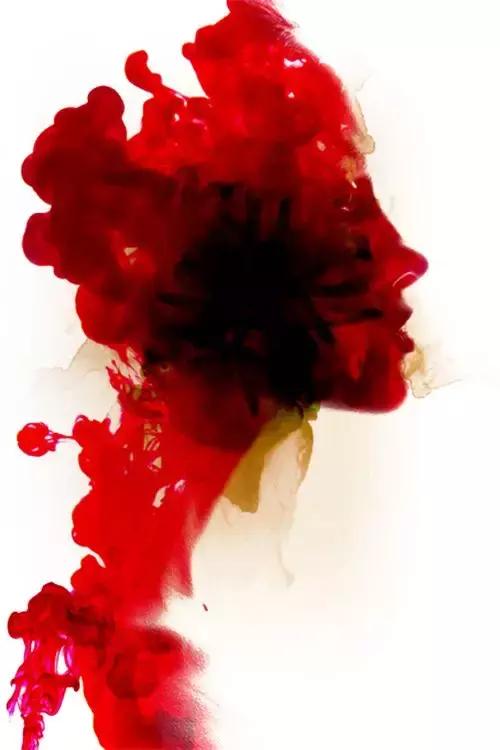 豆豆讲爱情故事,豆豆讲故事