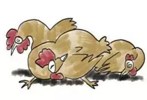 拒绝NBA！广东篮球避难者必须都懂的粤语足球术语