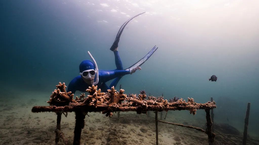 30岁到40岁的感悟,30岁的感悟自述