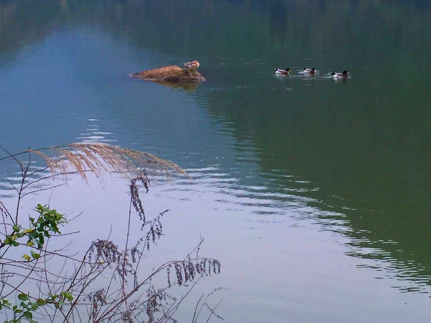 营销策划中的洞察和策略,让营销回归营销