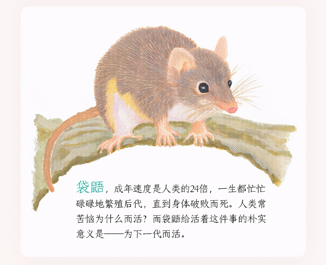 日本动物感人书籍,动物生死书