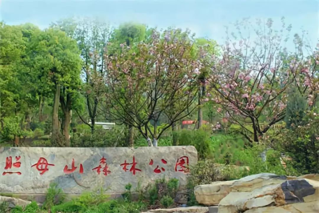 重庆渝北房地产地图,重庆市渝北区御璟悦来楼盘地图