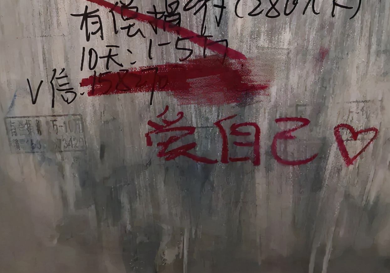 捐卵黑幕,捐卵骗局真人