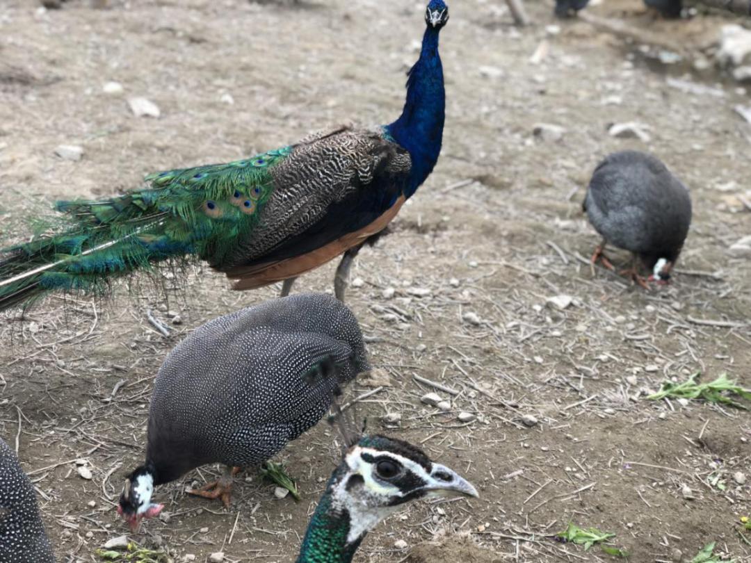 福州连江周边避暑好去处,福州连江的风光