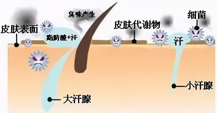 脱毛避免踩坑的事项,女性夏季脱毛7个误区要当心