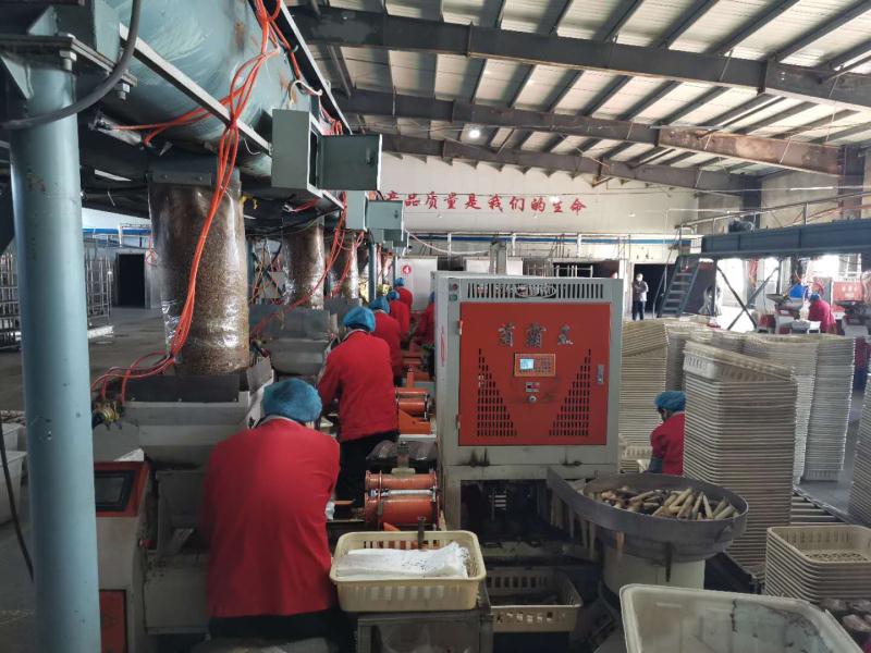 黑龙江鹤岗:政府鼎力相助“鼎尊生物”日产10万菌棒“不够卖”