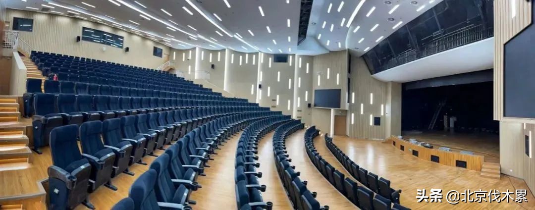 市区又多一个遛娃圣地,不花钱的遛娃胜地