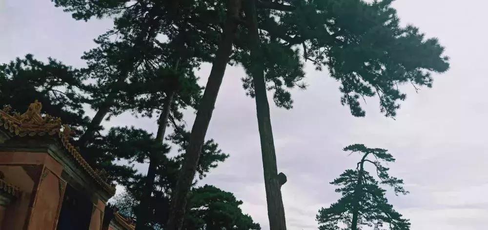 明十三陵康陵历史厚重感,探访明十三陵未开放的陵墓