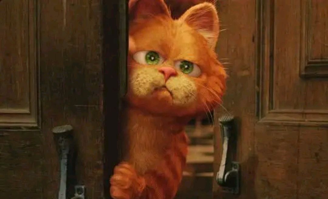 最可爱的动漫猫咪,云吸猫小猫视频