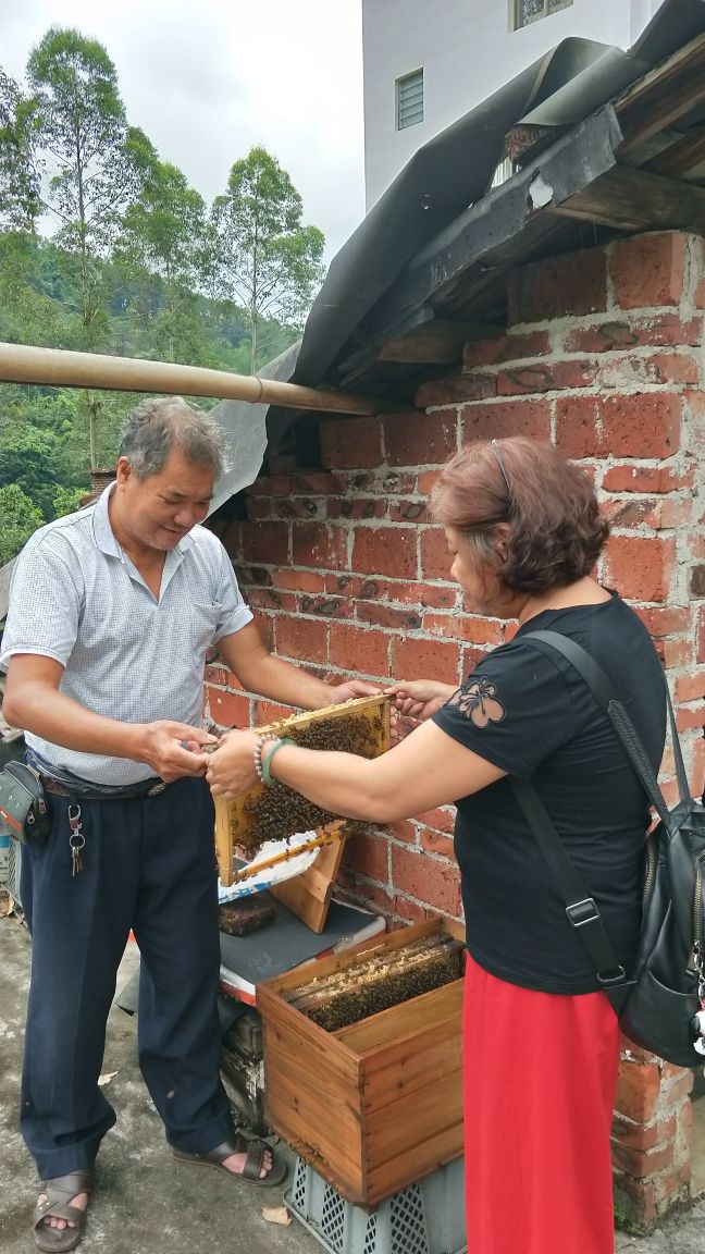 真正的原生态蜂蜜,密集恐惧症能吃蜂蜜吗